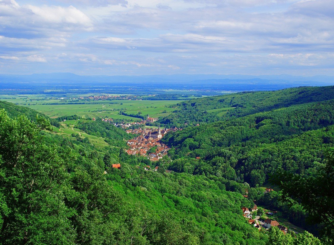 Bild 8 von 12