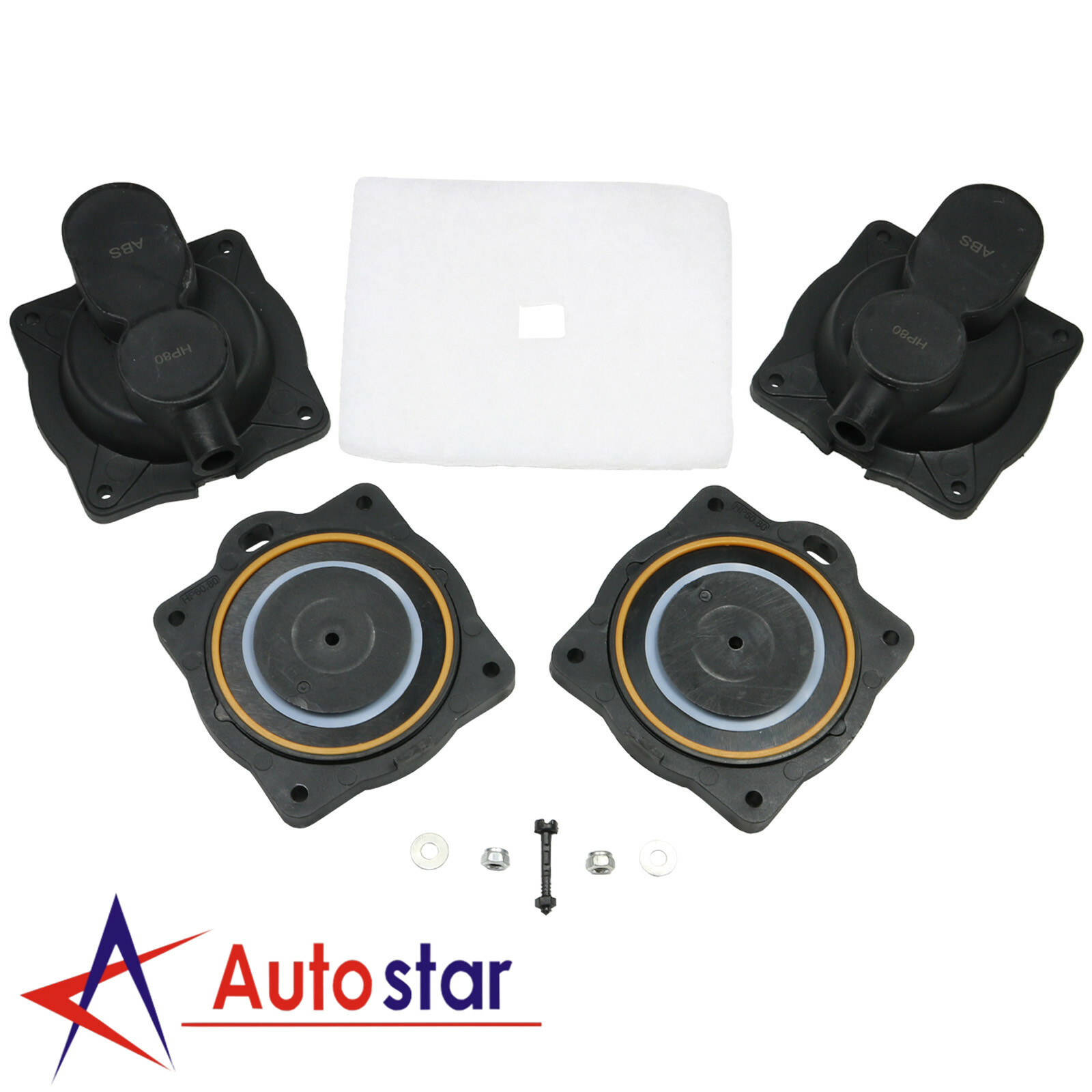 Air Pump Diaphragm Rebuild Repair Kit w/ Filter Screw Nuts