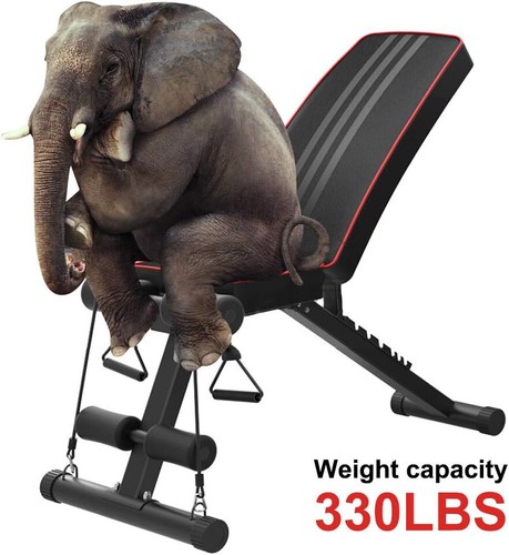Hantelbank Trainingsbank Schrägbank Fitnessbank Klappbar Verstellbar bis 150kg - Bild 7 von 9