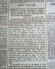 Rare COCKFIGHTNG Roosters Gamecocks Illegal Blood Sport w/ Scores 1869 Newspaper