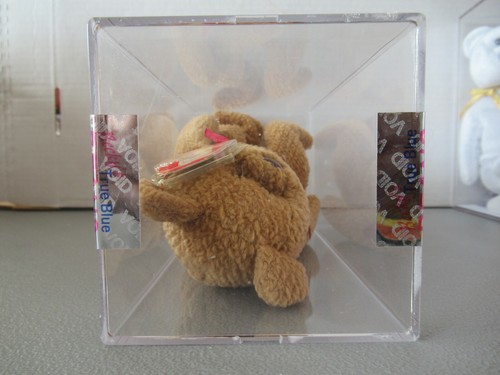 TY Beanie Babies Curly The Bear Swing 4th Tush 4th Authenticated MWMT - Picture 6 of 7