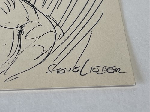 STEVE LIEBER SCHIZZO ORIGINALE Hawkman su lista di controllo Steven Leiber firmato! Auto! - Foto 7 di 9