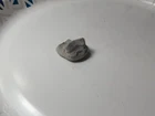 Dug Civil War era hard impact confederate Gardner bullet