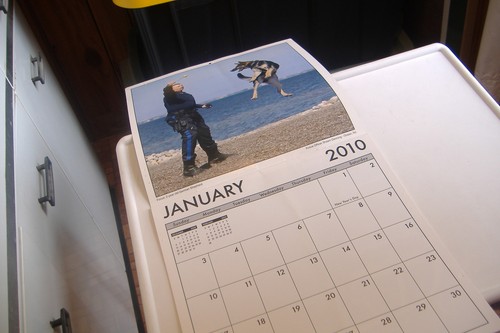 ~COPS & DOGS ~LAW ENFORCEMENT OFFICERS & THEIR K9 PARTNERS~2010 CALENDAR~ - Picture 3 of 11