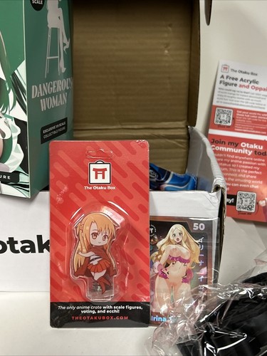 DANGEROUS WOMEN The Otaku Box Exclusive Figur Maßstab 1:9 NEU mit Zubehör - Bild 2 von 16