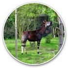 2 x Vinyl Stickers 25cm - Okapi Forest Giraffe Zebra Cool Gift #3524