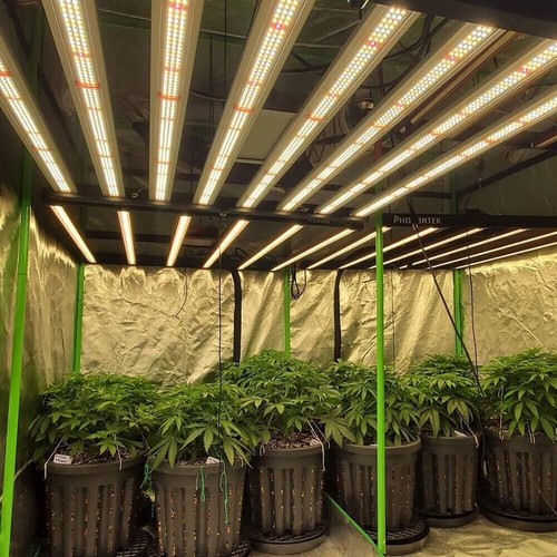 PHLIZON 6500W Luce LED per Coltivazione Samsung Spettro Completo Interno Commerciale Idroponica - Foto 3 di 12