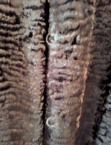 Lauren Ralph Lauren Faux Lambswool Coat XL Black/brown Roll Cuffs Retro Glam - Picture 2 of 13