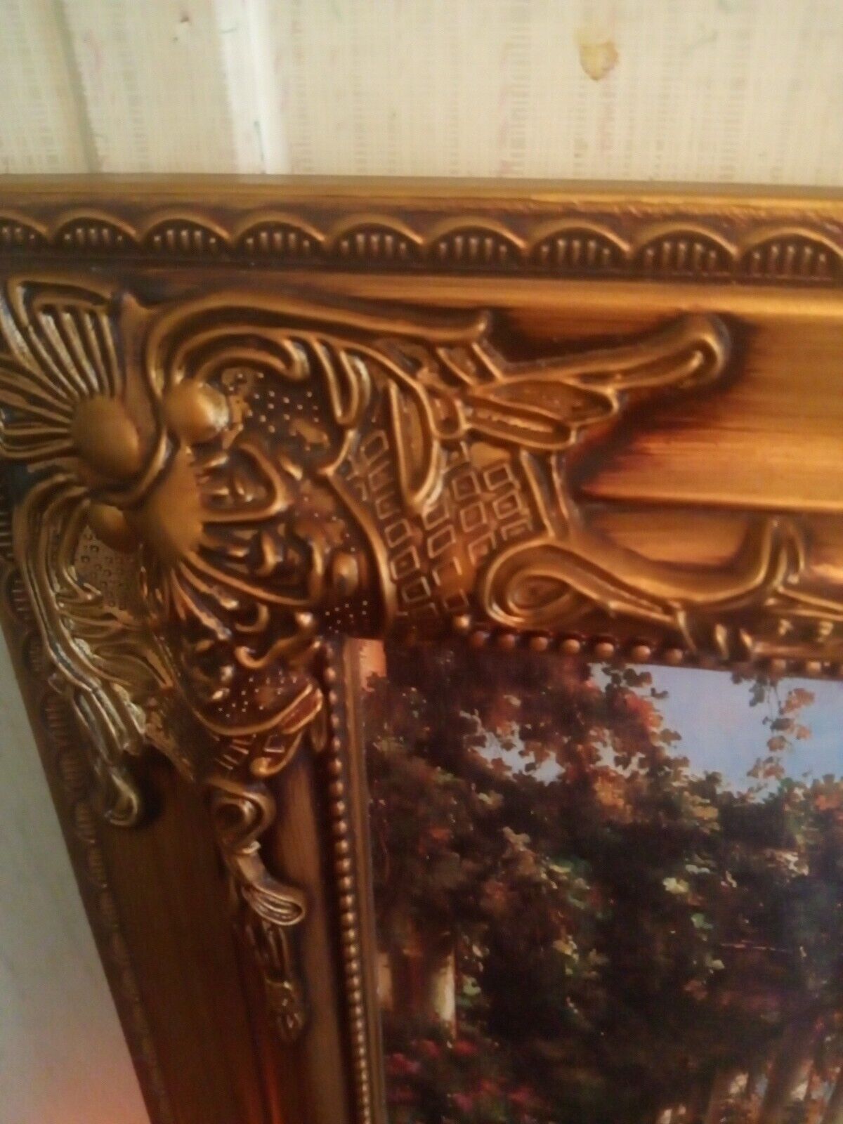 Picture 8 of 13