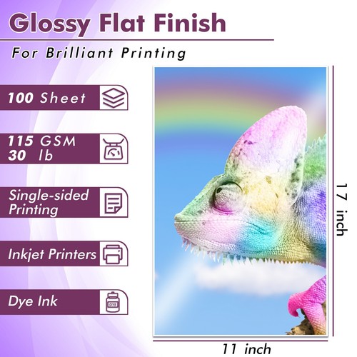 Lot Koala Thin Inkjet Glossy Photo Printer Paper 30lb 8.5x11 /8.5x14 /11x17 115g - Picture 16 of 21