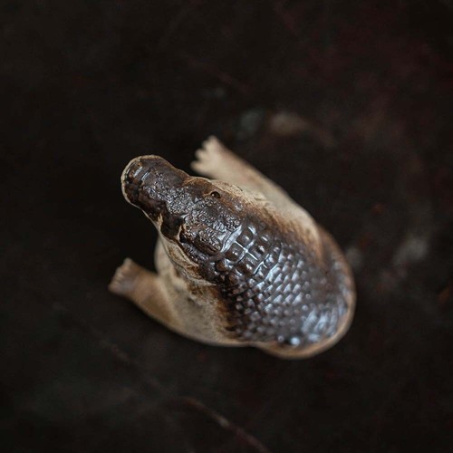 Creative Home Garden Decoration Crocodile Baby Jewelry Small Tea Pet Purple Sand - Picture 4 of 6