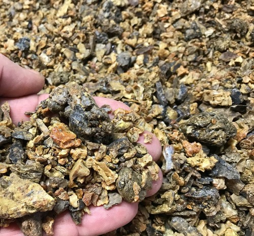 Bee Propolis 1,2,8,16oz 100% PURE Natural USA (28-453g) Buy From The Beekeeper - Picture 13 of 13
