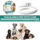 Foto 7 di 15
