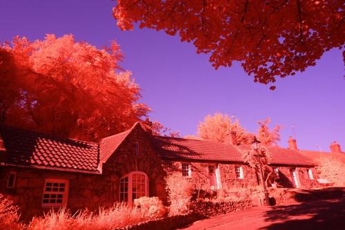 Infrared filter, IRchrome / Aerochrome 49mm **SEE VIDEO** Plus Metal Lens Hood - Picture 20 of 23