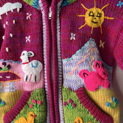Vibrant Colorblock Full Zip Cardigan Sweater Hooded Pocket Animal Appliqué Girls - Picture 14 of 17