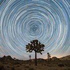 timelapseresale