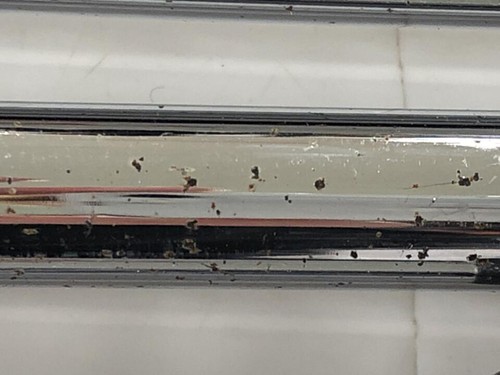 Titleist Iron Set AP 2 FORGED 5.6.7.8.9.P Dynamic Gold Flex S200 - Picture 12 of 12