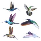  6 Pcs Anti-collision Window Bird Stickers Hummingbird Wall Decal