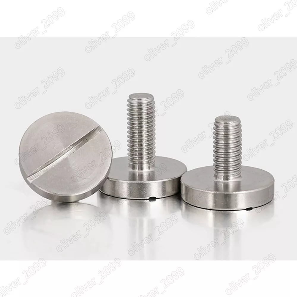 Ss 304/316 Flat Truss Head Solid Rivets for Metal Sheet - China