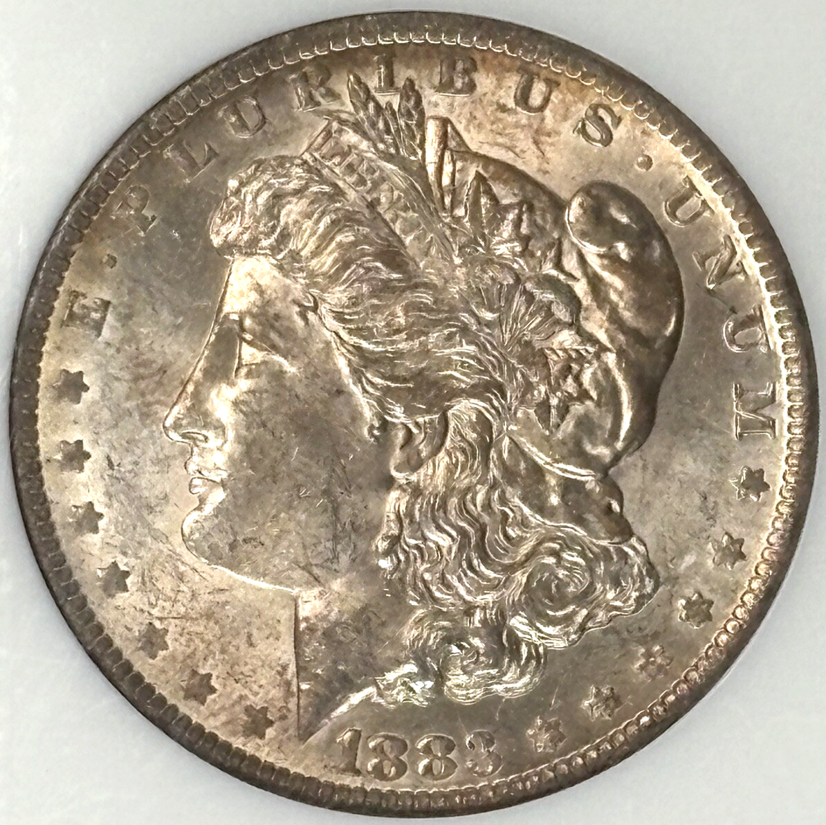 Picture 11 of 11