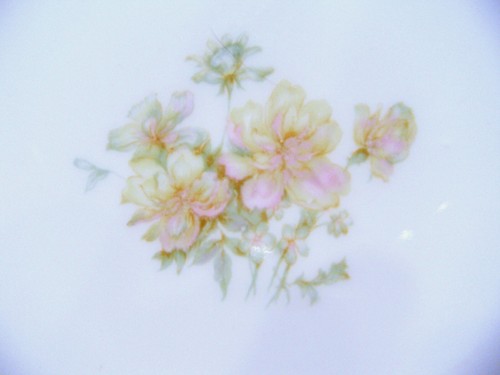 Rare Antique Haviland Limoges, France The Countess Schleiger #69 Fine Dinnerware - Picture 300 of 329