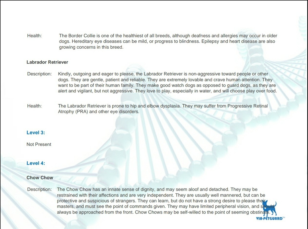 Canine DNA TEST KIT Viaguard swab Dog full breed composition certificate x 1 kit - Picture 14 of 16