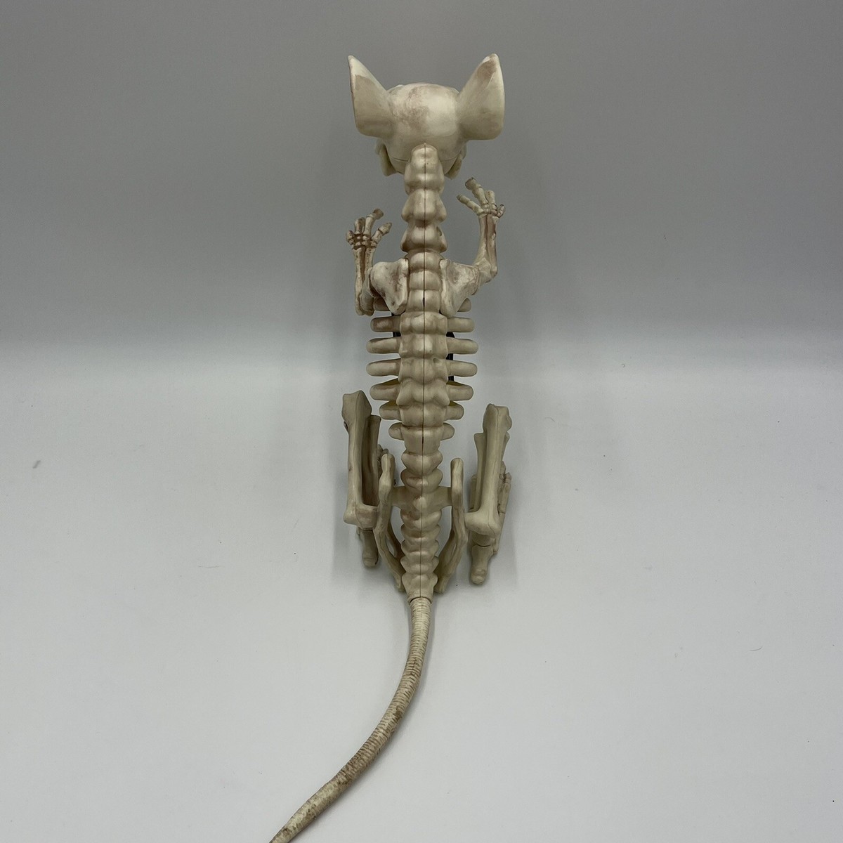 Hperu Squelette Rat Halloween En Taille Réelle - Squelette Pour Halloween - Décoration D'Halloween - Souris Debout - Squelette D'animal - Décoration Pour Maison Hantée - 9 X 1,9 X 2,7 Cm