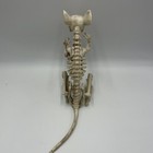 Picture 5 of 7