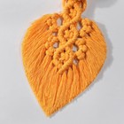 Foto 11 di 22
