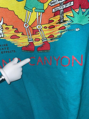 Vintage 90s Grand Canyon Hiking Adult Large Novelty T-shirt Made USA Hanes Tag - Picture 6 of 10