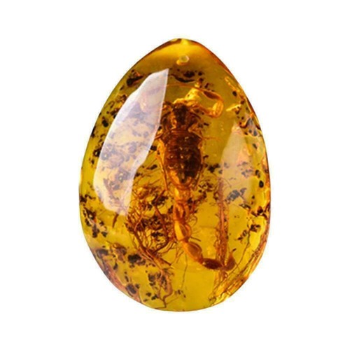 Insect Stone Scorpions Inclusion Amber Resin Baltic I9A4 Pendant U7 New P2U4 - Bild 3 von 10