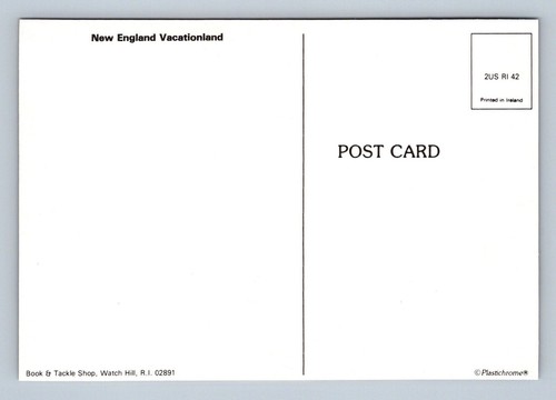 Tarjeta postal Monkey-New England Vacationland sin publicar - Imagen 2 de 2