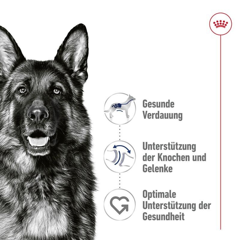Bild 5 von 10