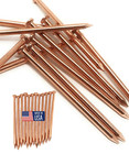12-Pack Pure Copper 4-Inch Nail Spikes - Heavy-Duty Tree Stump Root Killer - Eco