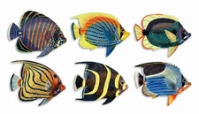 Hand Painted 8" Tropical Fish Replica Wall Mount Décor Plaque Sculpture 009L