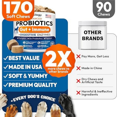 Probiotics for Dogs 170 Chews Dog Digestive Enzymes Prebiotics Support Gut USA. - Bild 4 von 5