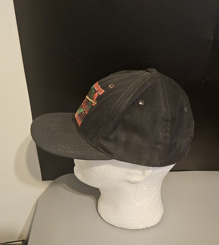 De colección Cardenales de San Luis El Juego Antiguo Logo SnapBack Gorra Sombrero MLB EE. UU. - Imagen 2 de 7
