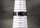 Foto 12 di 12