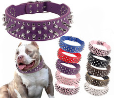 Hoot PU Leather Adjustable Spiked Studded Dog Collar 2" Wide 31 Spikes 52 Studs