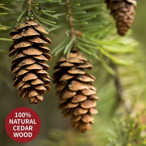 Cross Tea 1/30X Cedar Wood Rings - Natural Moth Protection Against Clothes Moths - Picture 6 of 19