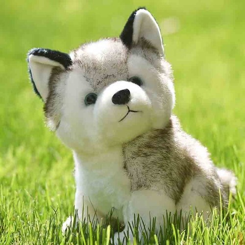 Adorable Husky Perro Peluche Juguete Animal de Peluche Suave Lobo Mascota Muñeca Niño Juguete Regalo 20CM Nuevo - Imagen 4 de 6