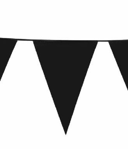 10m COLOUR BUNTING FLAGS PENNANTS PARTY DECORATIONS PARTY FLAG WEDDING CHRISTMAS - Picture 20 of 29