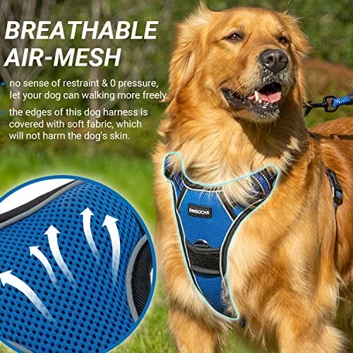 Dog Harness for Medium Large Dogs No Pull S (neck: 12"-19" chest: 14"-25") Blue