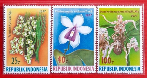 Indonesia 1977 Orchid Stamp - Picture 2 of 2