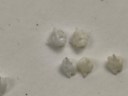 Warhammer Fantasy Regiments White Plastic Vintage Dwarfs Elves Orcs Skaven 80s - Picture 63 of 91