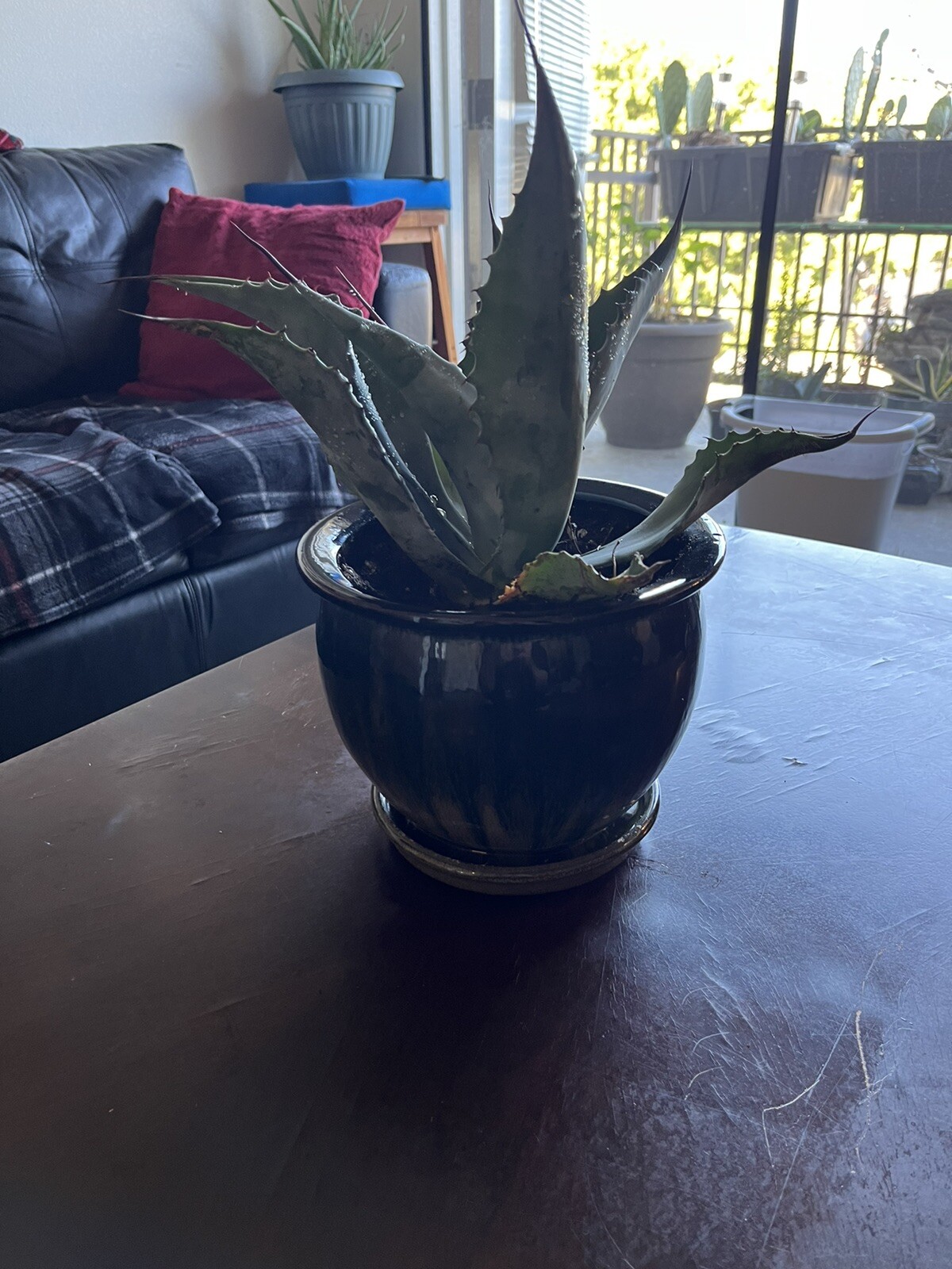 Picture 6 of 7