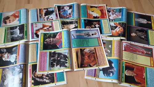 Das greate Fix + Foxi - colección 14 cómics con serie de colección de 1993 - Imagen 4 de 8