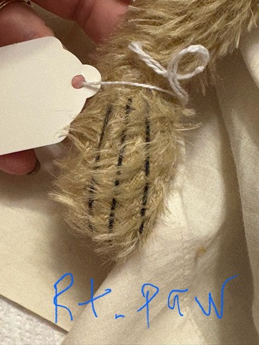Vintage Teddybär von Künstlerin Ingrid Schmid verbunden mit Originalkleidung - Bild 3 von 24