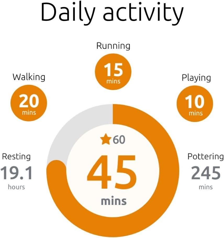 PitPat Dog Activity and Fitness Monitor (no GPS) Lightweight and