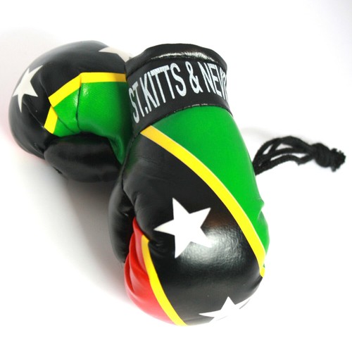 High Quality Country Flag MINI BOXING GLOVES - Rear View Mirror Gloves - New - Picture 108 of 134